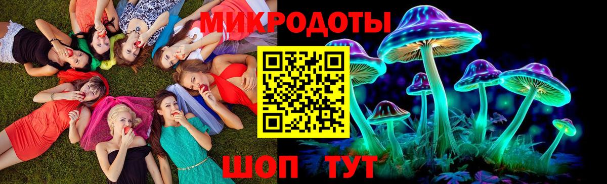 Галлюциногенные грибы Psilocybine cubensis  Вход с VPN  Псилоцибиновые грибы Cubensis  Кохма 